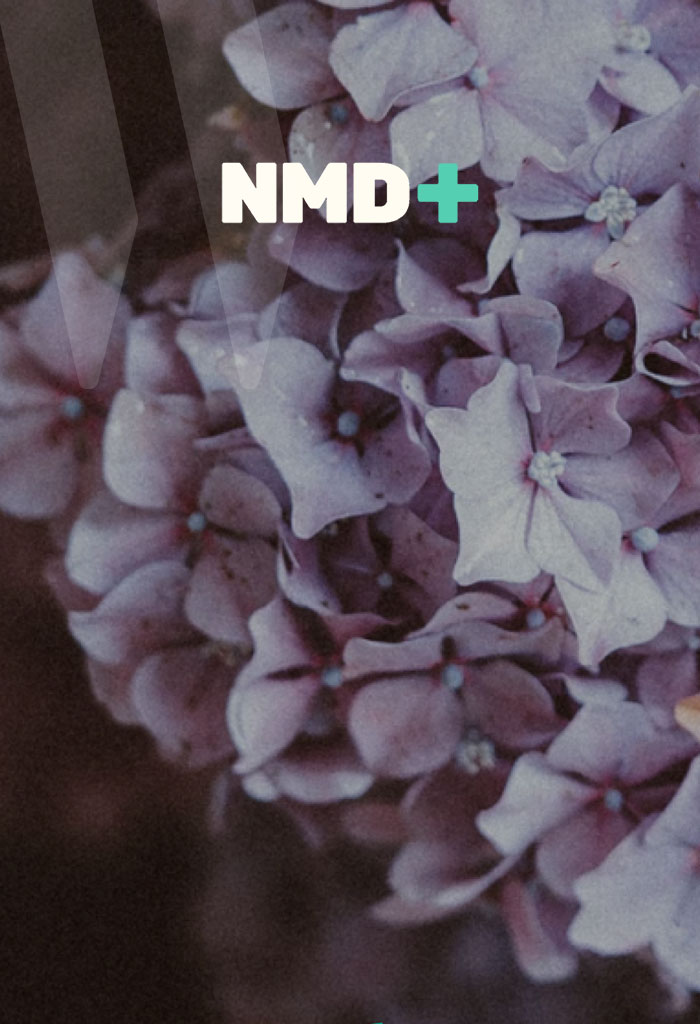 nmd+-WS-Featured-image_700x1024-Recovered